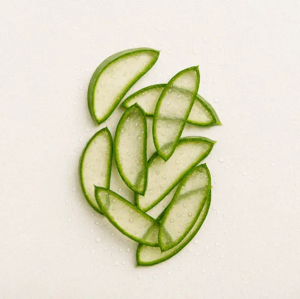 Aloe vera bio ingredient LEBON
